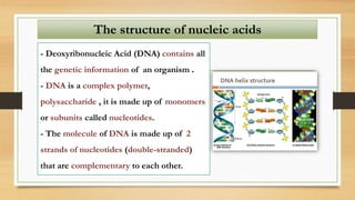 The structure of nucleic acids
- Deoxyribonucleic Acid (DNA) contains all
the genetic information of an organism .
- DNA is a complex polymer,
polysaccharide , it is made up of monomers
or subunits called nucleotides.
- The molecule of DNA is made up of 2
strands of nucleotides (double-stranded)
that are complementary to each other.
 