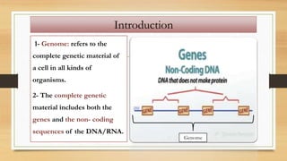 Introduction
1- Genome: refers to the
complete genetic material of
a cell in all kinds of
organisms.
2- The complete genetic
material includes both the
genes and the non- coding
sequences of the DNA/RNA.
Genome
 