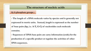 The structure of nucleic acids
A) A phosphate groups :
- The length of a DNA molecule varies by species and is generally not
expressed in metric units. Instead, length is expressed as the number
of base pairs (bp, i.e. A-T, G-C) of nucleotides each molecule
contains.
- Sequences of DNA base pairs are carry information (code) for the
production of a specific product or regulate the activities of other
DNA sequences.
 