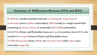 5. DNA is a double-stranded molecule consisting of a long chain of
nucleotides (over a million nucleotides). RNA usually is a single-strand helix
consisting of shorter chains of nucleotides (70-12,000 nucleotides).
6. In DNA, Purine and Pyrimidine bases are equal in number, but in RNA, the
number is not equal between Purine and Pyrimidine bases.
7. DNA is long lived Some. RNAs are very short lived while others have
somewhat longer life.
Summary of Differences Between DNA and RNA
 