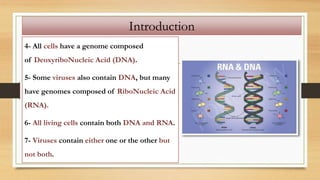 4- All cells have a genome composed
of DeoxyriboNucleic Acid (DNA).
5- Some viruses also contain DNA, but many
have genomes composed of RiboNucleic Acid
(RNA).
6- All living cells contain both DNA and RNA.
7- Viruses contain either one or the other but
not both.
Introduction
 