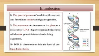 8- The general pattern of nucleic acid structure
and function is similar among all organisms.
9- Chromosomes: A chromosome is a piece or a
molecule of DNA ( highly organized structures )
which store genetic information in living
organisms.
10- DNA in chromosomes is in the form of one
long double helix.
Introduction
 