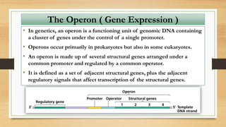 • In genetics, an operon is a functioning unit of genomic DNA containing
a cluster of genes under the control of a single promoter.
• Operons occur primarily in prokaryotes but also in some eukaryotes.
• An operon is made up of several structural genes arranged under a
common promoter and regulated by a common operator.
• It is defined as a set of adjacent structural genes, plus the adjacent
regulatory signals that affect transcription of the structural genes.
The Operon ( Gene Expression )
 