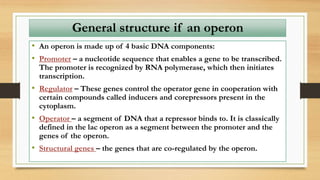 • An operon is made up of 4 basic DNA components:
• Promoter – a nucleotide sequence that enables a gene to be transcribed.
The promoter is recognized by RNA polymerase, which then initiates
transcription.
• Regulator – These genes control the operator gene in cooperation with
certain compounds called inducers and corepressors present in the
cytoplasm.
• Operator – a segment of DNA that a repressor binds to. It is classically
defined in the lac operon as a segment between the promoter and the
genes of the operon.
• Structural genes – the genes that are co-regulated by the operon.
General structure if an operon
 