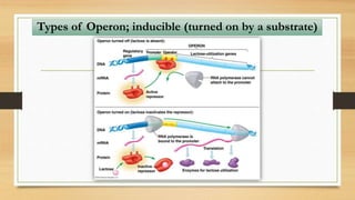 Types of Operon; inducible (turned on by a substrate)
 