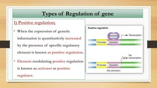 Types of Regulation of gene
1) Positive regulation;
• When the expression of genetic
information is quantitatively increased
by the presence of specific regulatory
element is known as positive regulation.
• Element modulating positive regulation
is known as activator or positive
regulator.
 