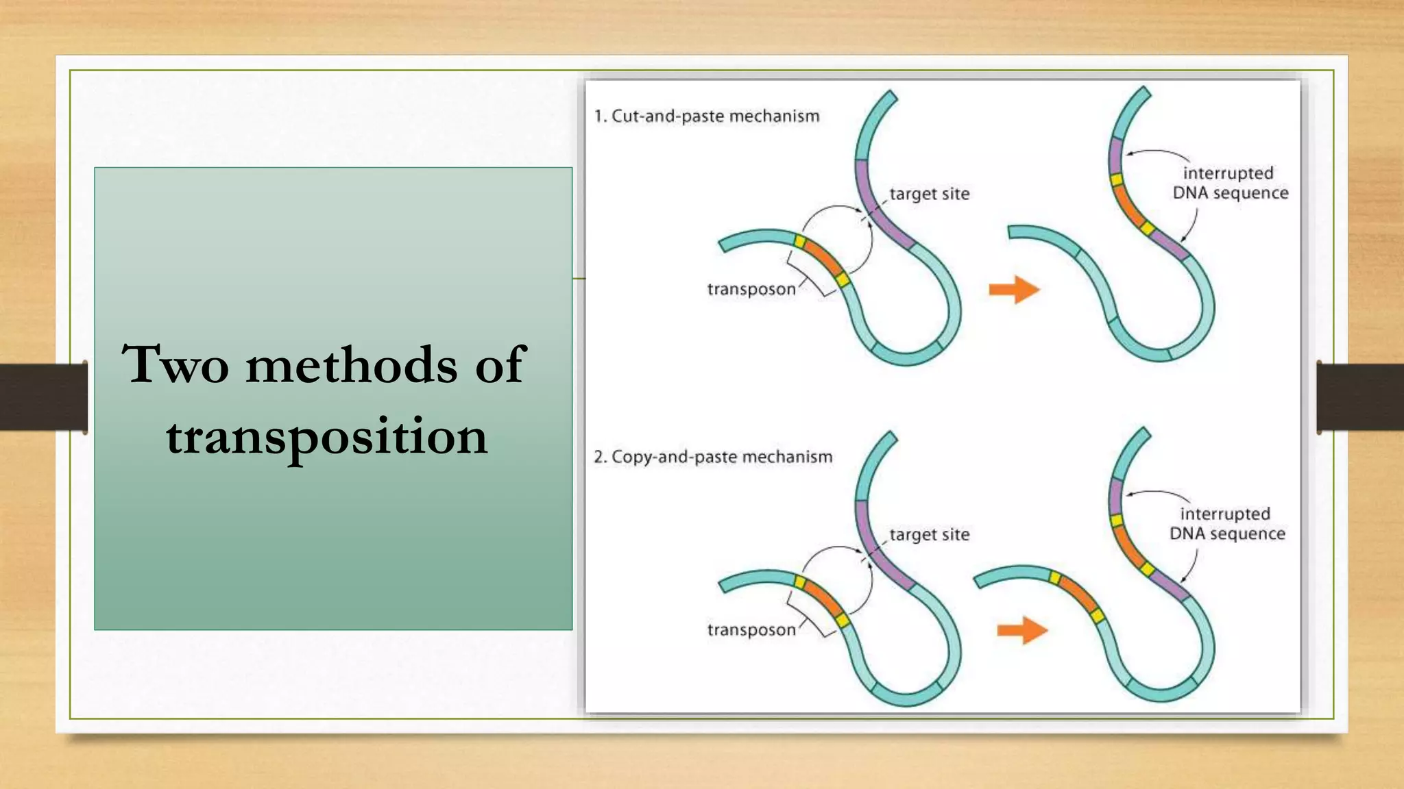 Two methods of
transposition
 