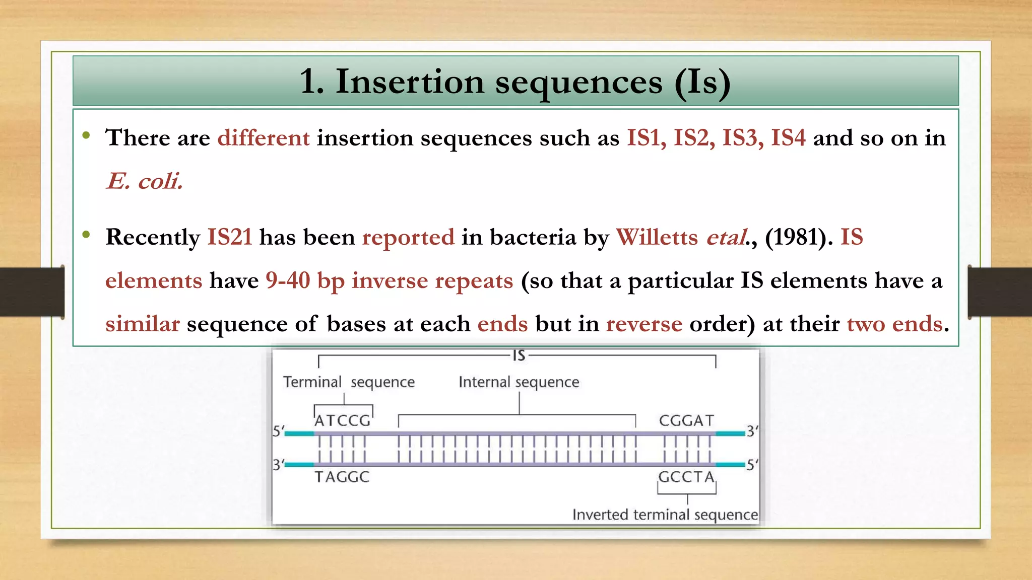 • There are different insertion sequences such as IS1, IS2, IS3, IS4 and so on in
E. coli.
• Recently IS21 has been reported in bacteria by Willetts etal., (1981). IS
elements have 9-40 bp inverse repeats (so that a particular IS elements have a
similar sequence of bases at each ends but in reverse order) at their two ends.
1. Insertion sequences (Is)
 