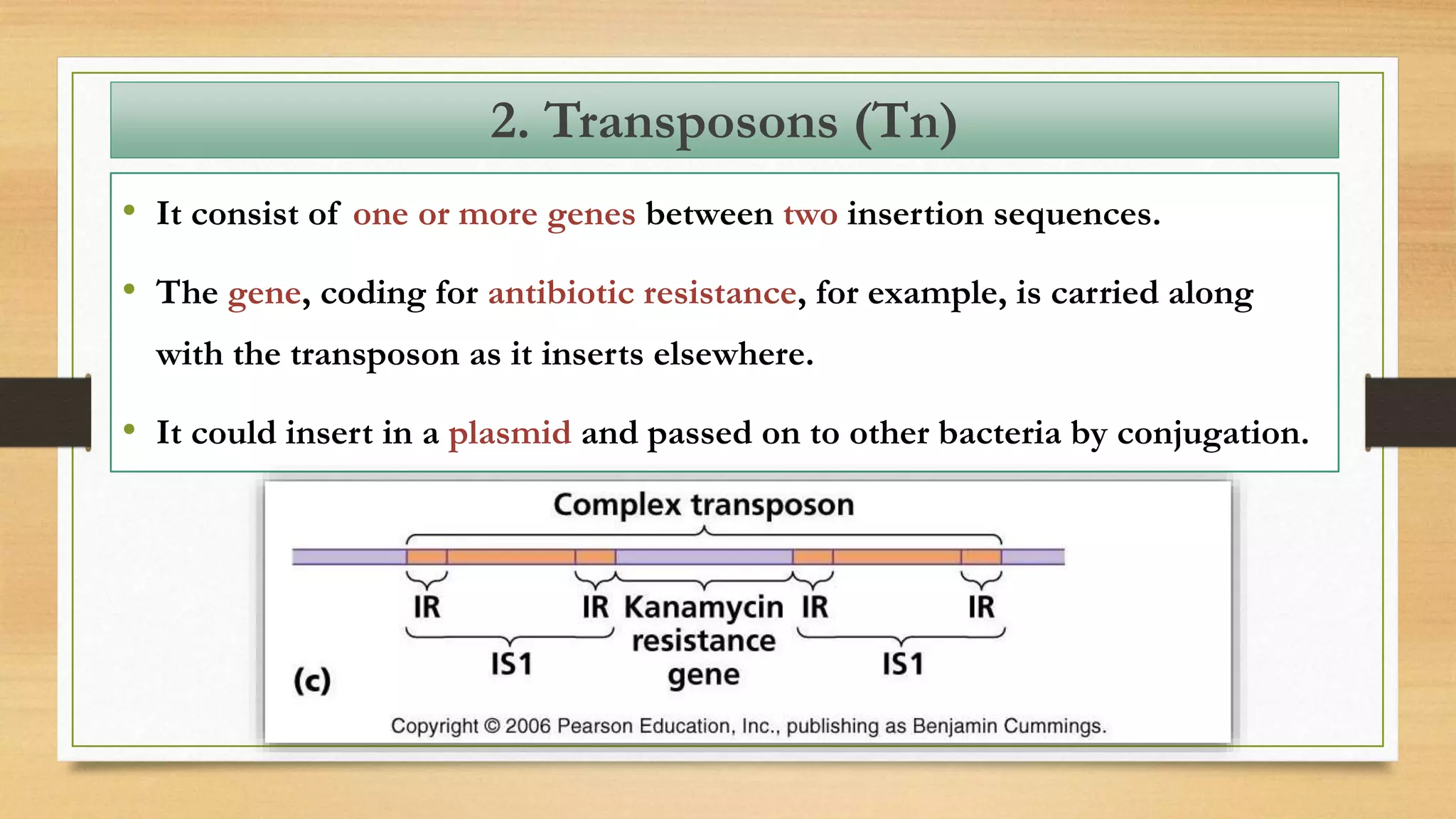 • It consist of one or more genes between two insertion sequences.
• The gene, coding for antibiotic resistance, for example, is carried along
with the transposon as it inserts elsewhere.
• It could insert in a plasmid and passed on to other bacteria by conjugation.
2. Transposons (Tn)
 