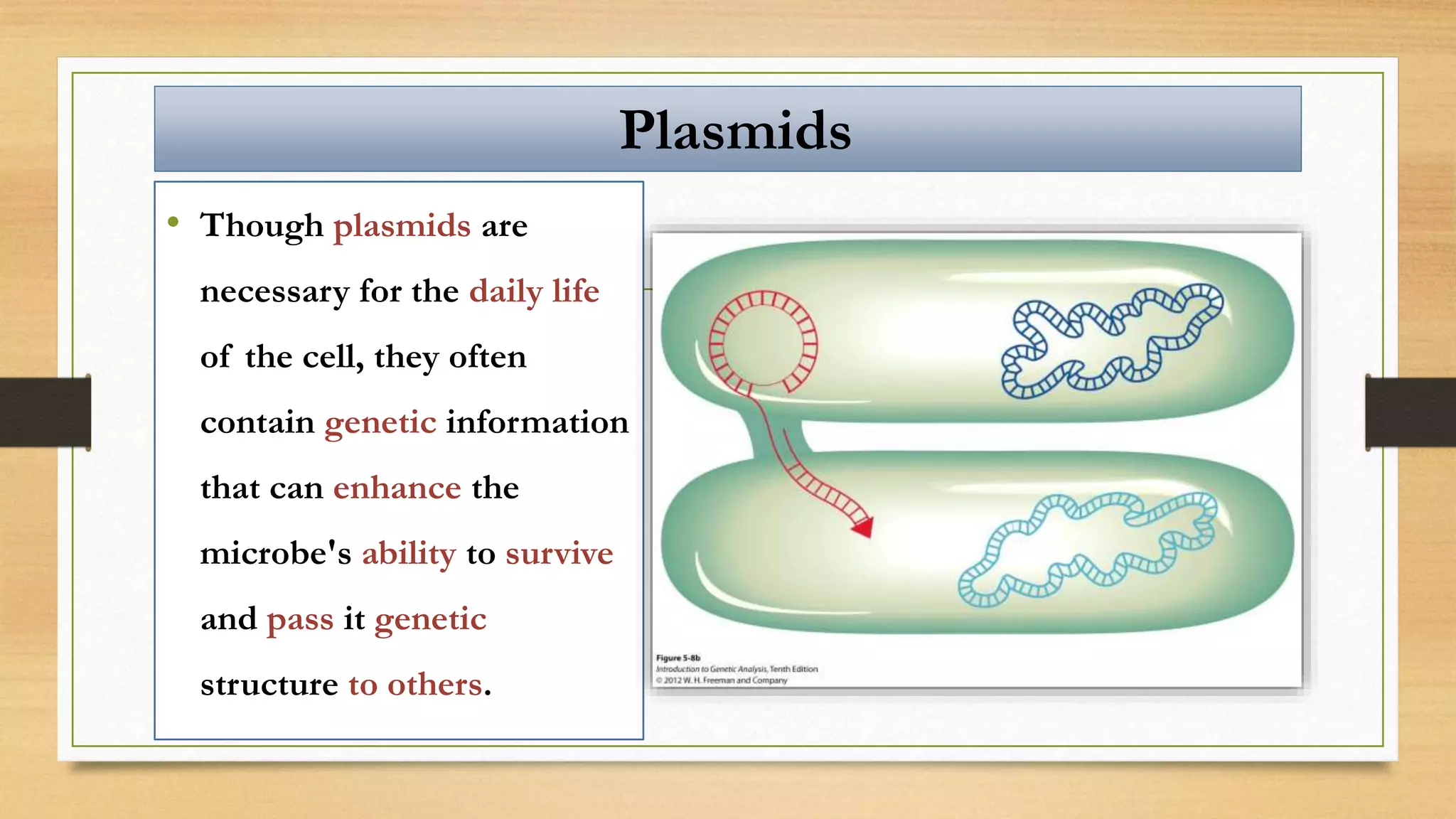 • Though plasmids are
necessary for the daily life
of the cell, they often
contain genetic information
that can enhance the
microbe's ability to survive
and pass it genetic
structure to others.
Plasmids
 
