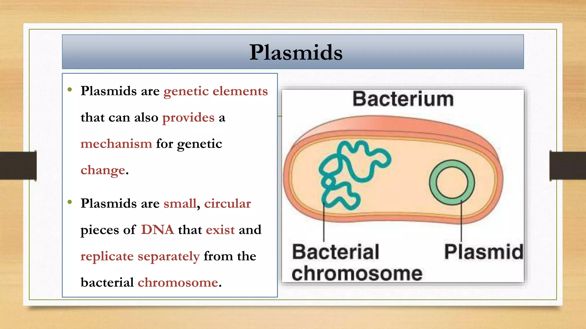 Plasmids
• Plasmids are genetic elements
that can also provides a
mechanism for genetic
change.
• Plasmids are small, circular
pieces of DNA that exist and
replicate separately from the
bacterial chromosome.
 