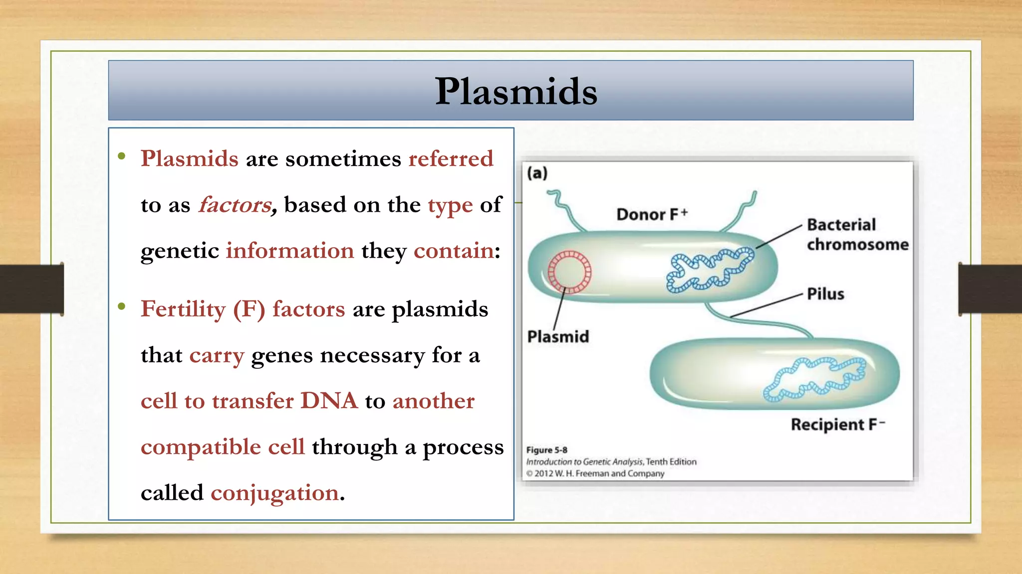 • Plasmids are sometimes referred
to as factors, based on the type of
genetic information they contain:
• Fertility (F) factors are plasmids
that carry genes necessary for a
cell to transfer DNA to another
compatible cell through a process
called conjugation.
Plasmids
 