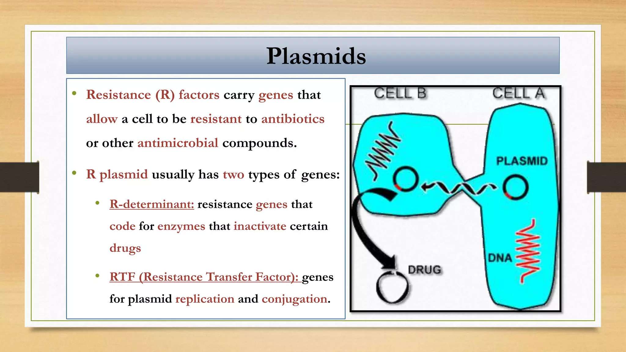 • Resistance (R) factors carry genes that
allow a cell to be resistant to antibiotics
or other antimicrobial compounds.
• R plasmid usually has two types of genes:
• R-determinant: resistance genes that
code for enzymes that inactivate certain
drugs
• RTF (Resistance Transfer Factor): genes
for plasmid replication and conjugation.
Plasmids
 