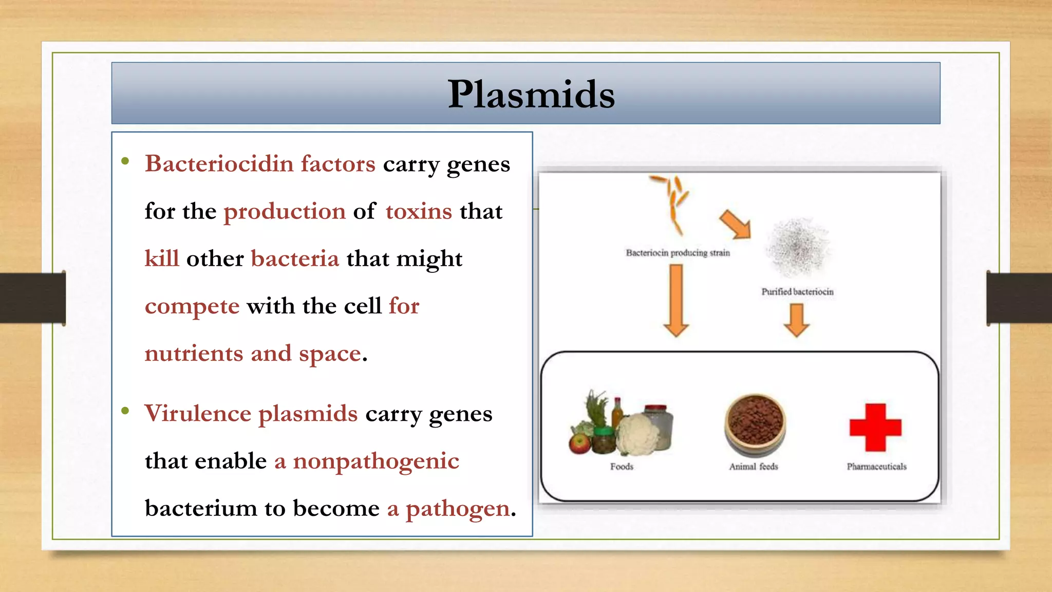 • Bacteriocidin factors carry genes
for the production of toxins that
kill other bacteria that might
compete with the cell for
nutrients and space.
• Virulence plasmids carry genes
that enable a nonpathogenic
bacterium to become a pathogen.
Plasmids
 