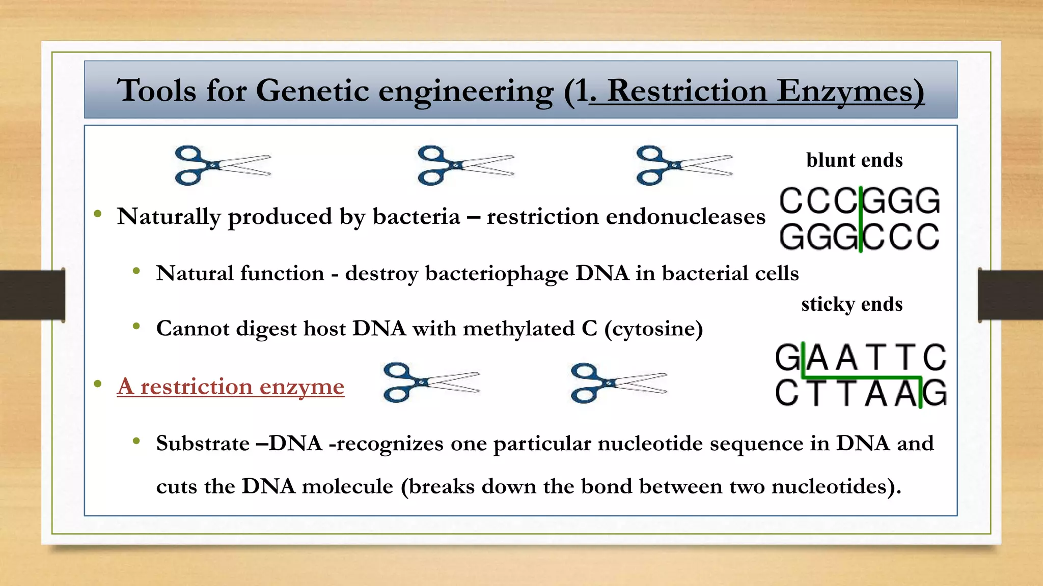 Tools for Genetic engineering (1. Restriction Enzymes)
• Naturally produced by bacteria – restriction endonucleases
• Natural function - destroy bacteriophage DNA in bacterial cells
• Cannot digest host DNA with methylated C (cytosine)
• A restriction enzyme
• Substrate –DNA -recognizes one particular nucleotide sequence in DNA and
cuts the DNA molecule (breaks down the bond between two nucleotides).
sticky ends
blunt ends
 