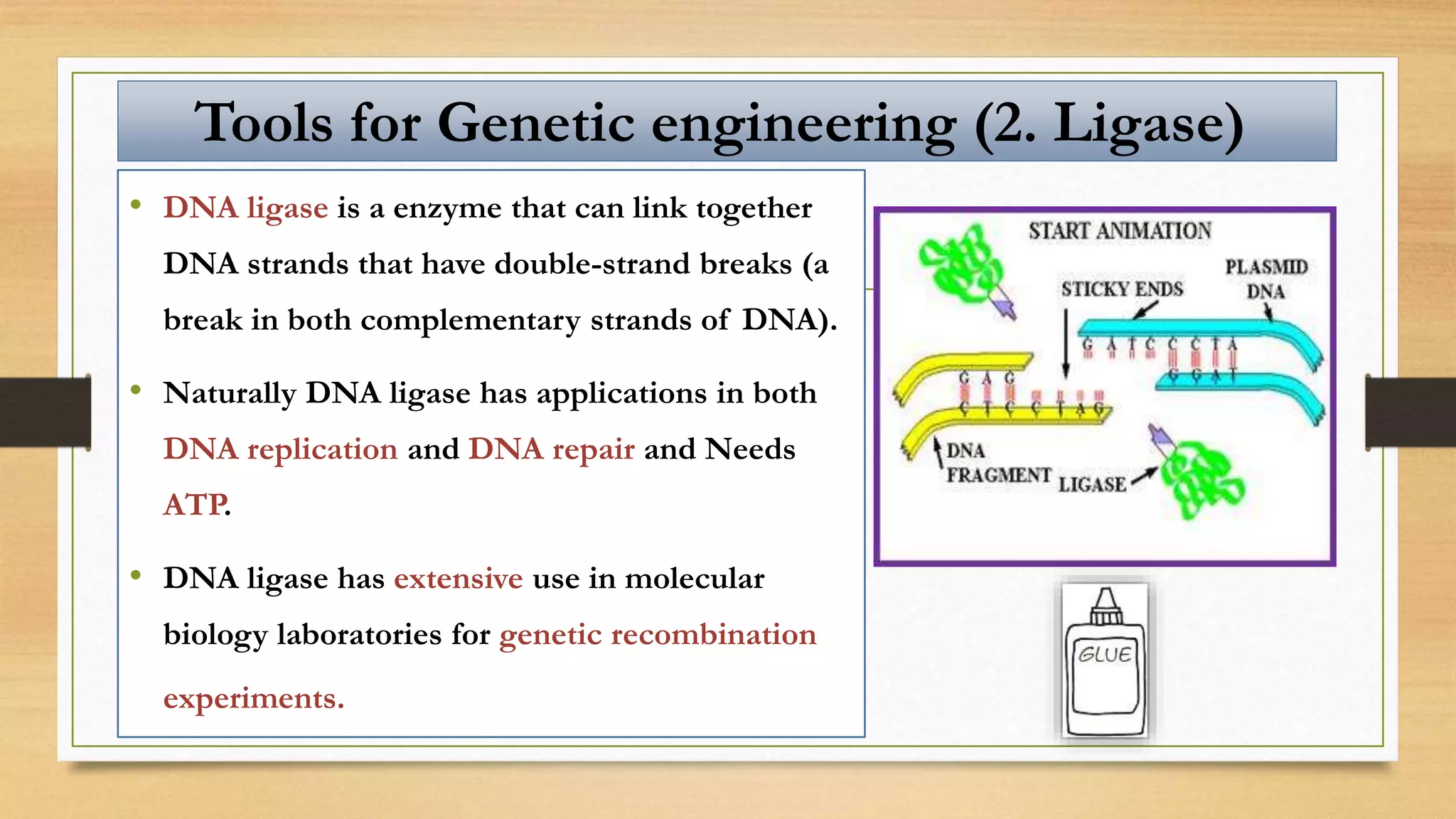 • DNA ligase is a enzyme that can link together
DNA strands that have double-strand breaks (a
break in both complementary strands of DNA).
• Naturally DNA ligase has applications in both
DNA replication and DNA repair and Needs
ATP.
• DNA ligase has extensive use in molecular
biology laboratories for genetic recombination
experiments.
Tools for Genetic engineering (2. Ligase)
 