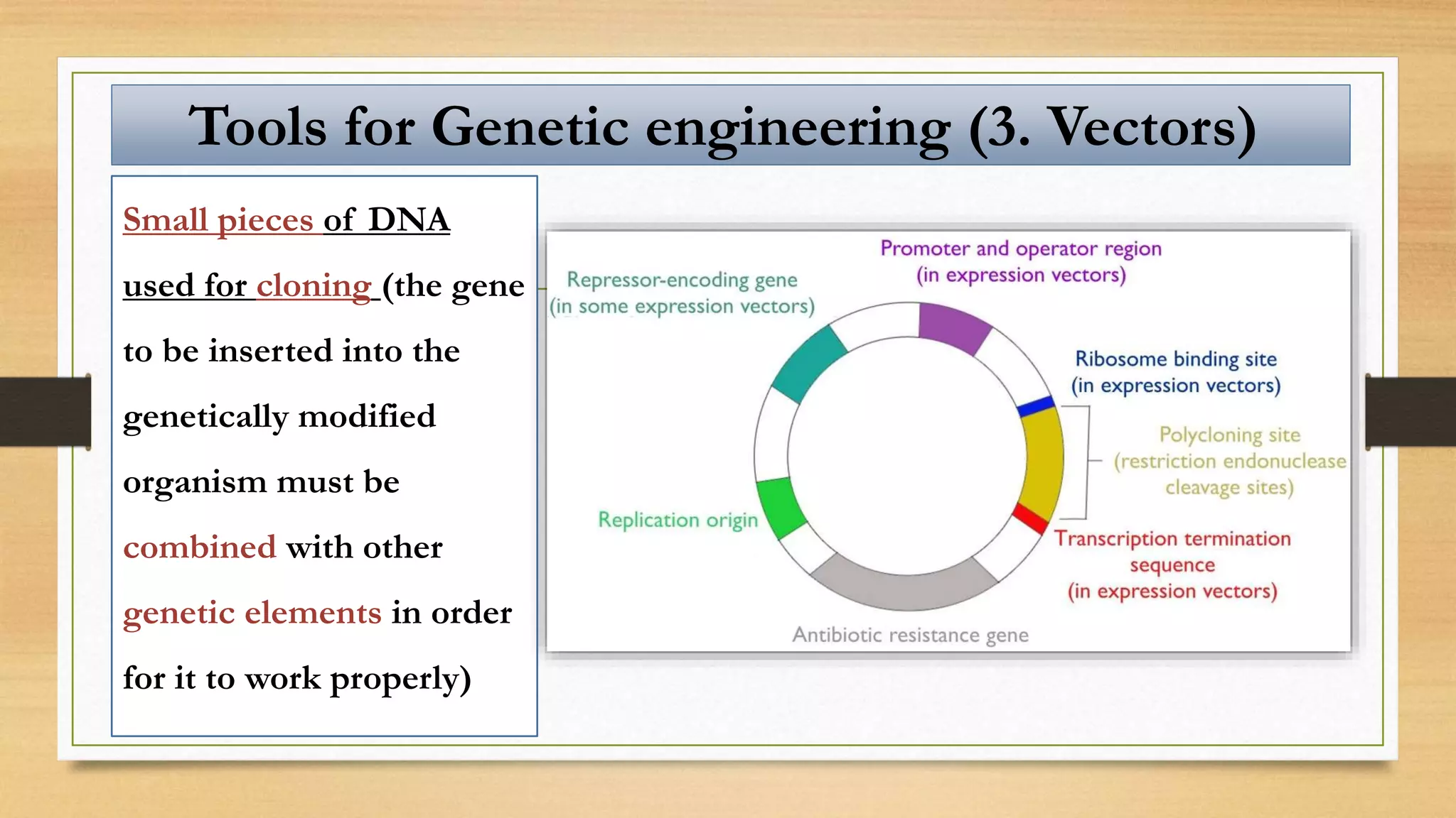 Small pieces of DNA
used for cloning (the gene
to be inserted into the
genetically modified
organism must be
combined with other
genetic elements in order
for it to work properly)
Tools for Genetic engineering (3. Vectors)
 