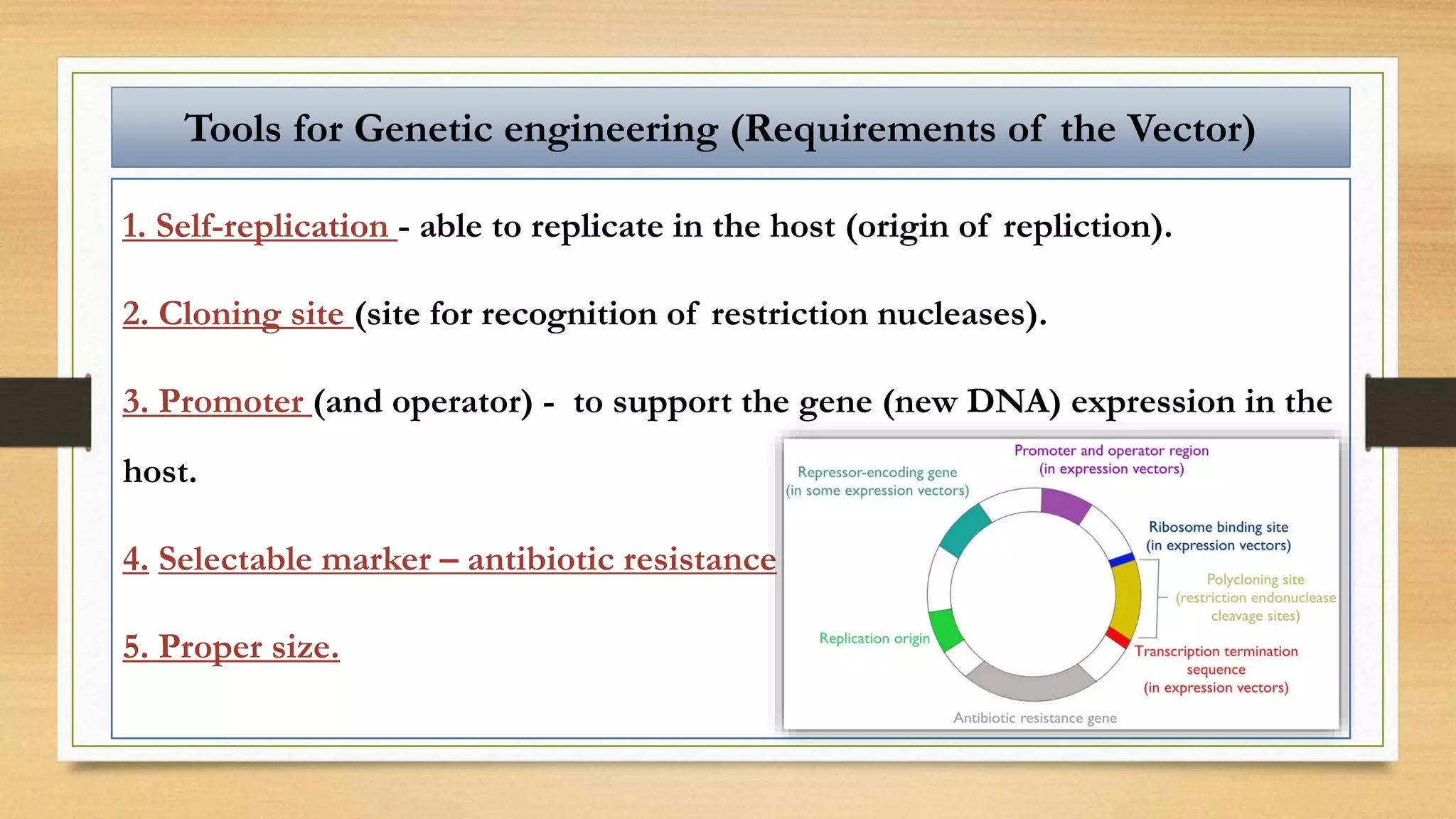 1. Self-replication - able to replicate in the host (origin of repliction).
2. Cloning site (site for recognition of restriction nucleases).
3. Promoter (and operator) - to support the gene (new DNA) expression in the
host.
4. Selectable marker – antibiotic resistance
5. Proper size.
Tools for Genetic engineering (Requirements of the Vector)
 