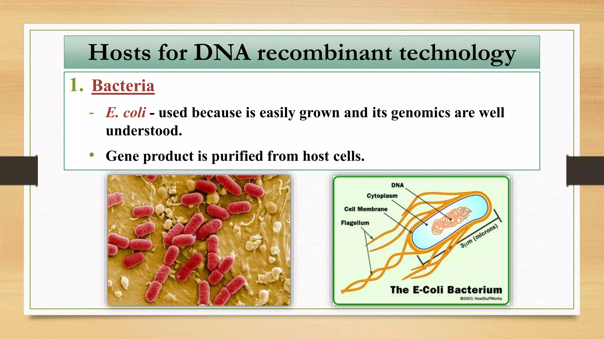 Hosts for DNA recombinant technology
1. Bacteria
- E. coli - used because is easily grown and its genomics are well
understood.
• Gene product is purified from host cells.
 