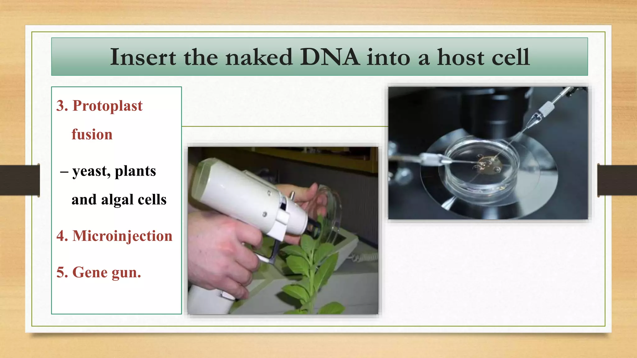 3. Protoplast
fusion
– yeast, plants
and algal cells
4. Microinjection
5. Gene gun.
Insert the naked DNA into a host cell
 