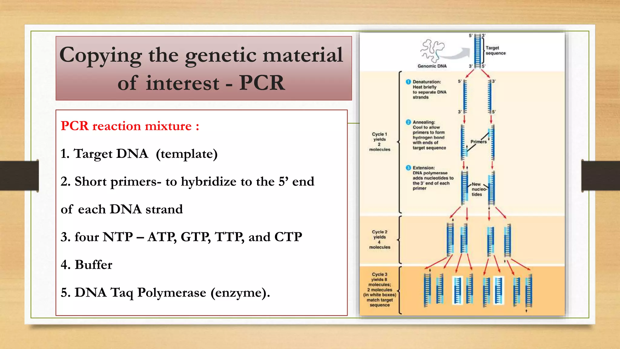 PCR reaction mixture :
1. Target DNA (template)
2. Short primers- to hybridize to the 5’ end
of each DNA strand
3. four NTP – ATP, GTP, TTP, and CTP
4. Buffer
5. DNA Taq Polymerase (enzyme).
Copying the genetic material
of interest - PCR
 