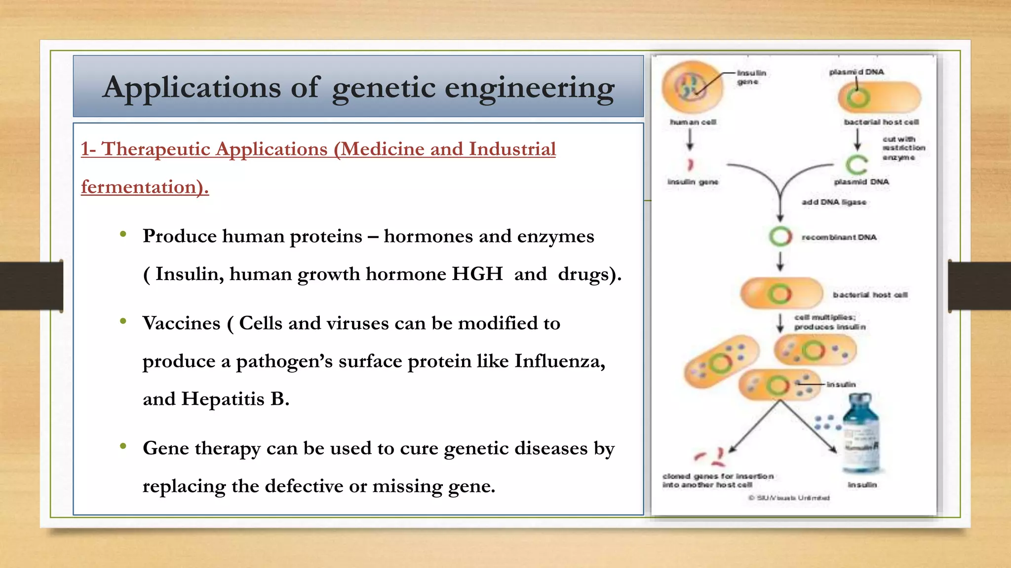 Applications of genetic engineering
1- Therapeutic Applications (Medicine and Industrial
fermentation).
• Produce human proteins – hormones and enzymes
( Insulin, human growth hormone HGH and drugs).
• Vaccines ( Cells and viruses can be modified to
produce a pathogen’s surface protein like Influenza,
and Hepatitis B.
• Gene therapy can be used to cure genetic diseases by
replacing the defective or missing gene.
 