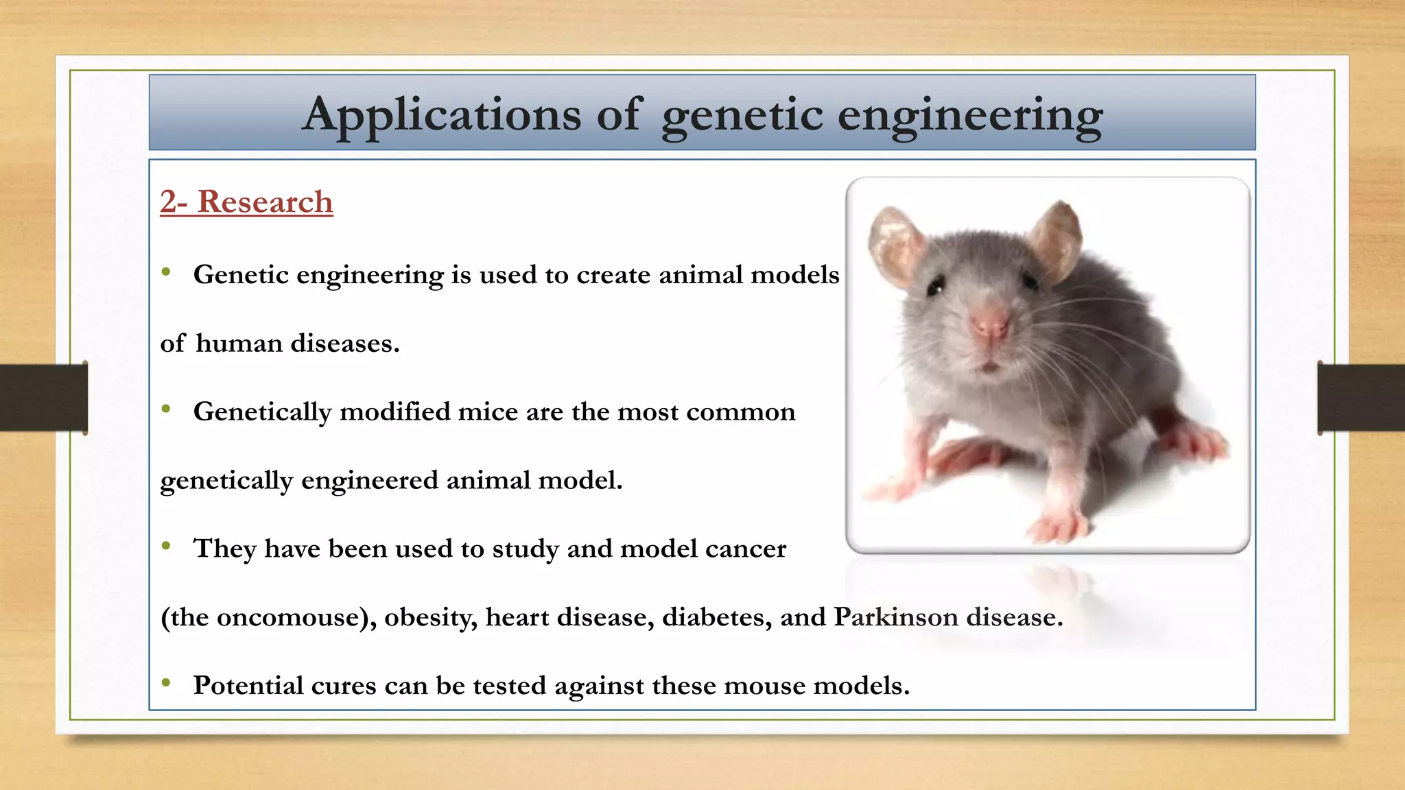 2- Research
• Genetic engineering is used to create animal models
of human diseases.
• Genetically modified mice are the most common
genetically engineered animal model.
• They have been used to study and model cancer
(the oncomouse), obesity, heart disease, diabetes, and Parkinson disease.
• Potential cures can be tested against these mouse models.
Applications of genetic engineering
 