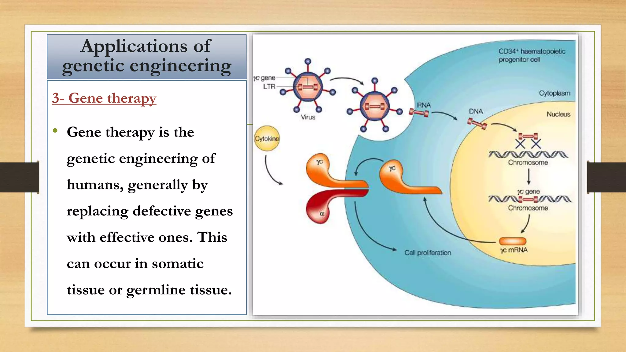 3- Gene therapy
• Gene therapy is the
genetic engineering of
humans, generally by
replacing defective genes
with effective ones. This
can occur in somatic
tissue or germline tissue.
Applications of
genetic engineering
 