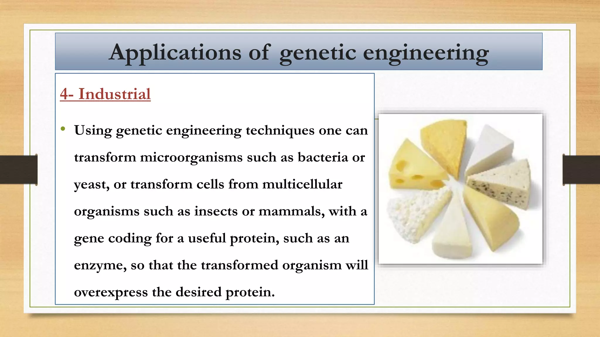 4- Industrial
• Using genetic engineering techniques one can
transform microorganisms such as bacteria or
yeast, or transform cells from multicellular
organisms such as insects or mammals, with a
gene coding for a useful protein, such as an
enzyme, so that the transformed organism will
overexpress the desired protein.
Applications of genetic engineering
 