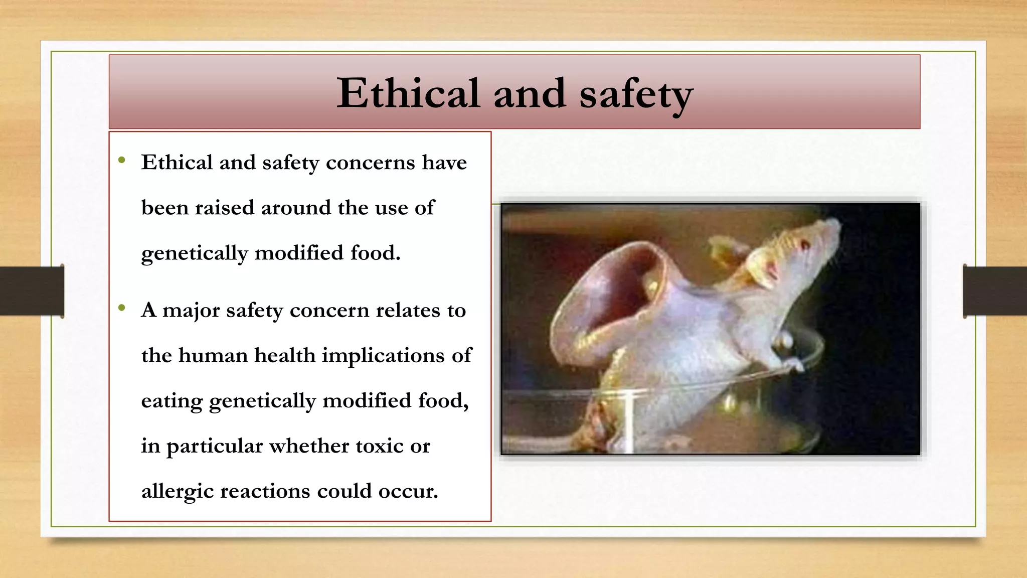 Ethical and safety
• Ethical and safety concerns have
been raised around the use of
genetically modified food.
• A major safety concern relates to
the human health implications of
eating genetically modified food,
in particular whether toxic or
allergic reactions could occur.
 