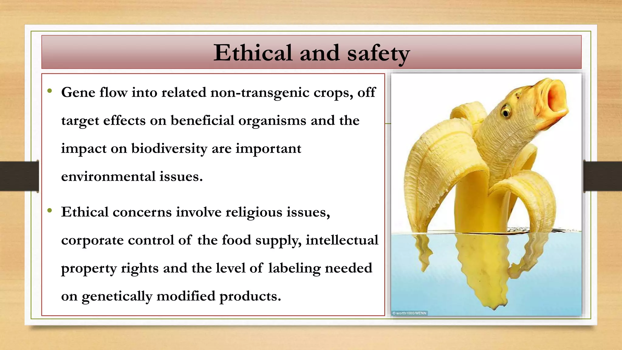Ethical and safety
• Gene flow into related non-transgenic crops, off
target effects on beneficial organisms and the
impact on biodiversity are important
environmental issues.
• Ethical concerns involve religious issues,
corporate control of the food supply, intellectual
property rights and the level of labeling needed
on genetically modified products.
 