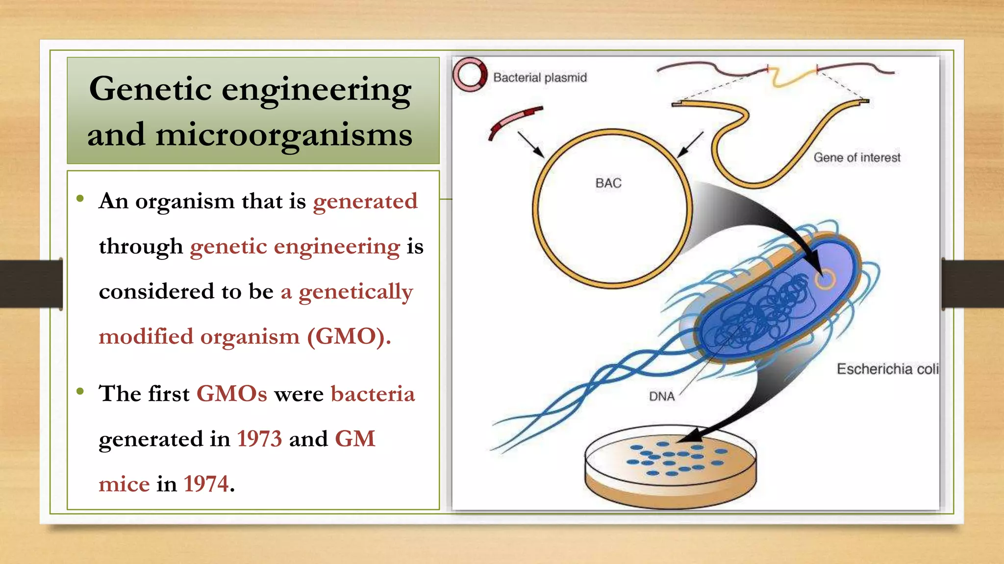 • An organism that is generated
through genetic engineering is
considered to be a genetically
modified organism (GMO).
• The first GMOs were bacteria
generated in 1973 and GM
mice in 1974.
Genetic engineering
and microorganisms
 