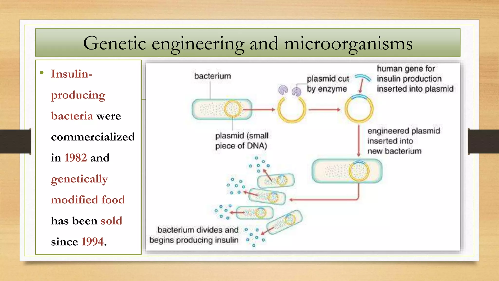• Insulin-
producing
bacteria were
commercialized
in 1982 and
genetically
modified food
has been sold
since 1994.
Genetic engineering and microorganisms
 