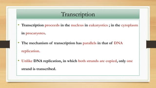 • Transcription proceeds in the nucleus in eukaryotics ; in the cytoplasm
in procaryotes.
• The mechanism of transcription has parallels in that of DNA
replication.
• Unlike DNA replication, in which both strands are copied, only one
strand is transcribed.
Transcription
 