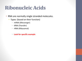 Ribonucleic Acids 
• RNA are normally single stranded molecules. 
• Types: (based on their function) 
• mRNA (Messenger) 
• tRNA (Transfer) 
• rRNA (Ribosomal) 
• Look for specific example 
 