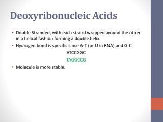 Deoxyribonucleic Acids 
• Double Stranded, with each strand wrapped around the other 
in a helical fashion forming a double helix. 
• Hydrogen bond is specific since A-T (or U in RNA) and G-C 
ATCCGGC 
TAGGCCG 
• Molecule is more stable. 
 