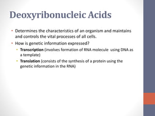 Deoxyribonucleic Acids 
• Determines the characteristics of an organism and maintains 
and controls the vital processes of all cells. 
• How is genetic information expressed? 
• Transcription (involves formation of RNA molecule using DNA as 
a template) 
• Translation (consists of the synthesis of a protein using the 
genetic information in the RNA) 
 
