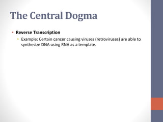 The Central Dogma 
• Reverse Transcription 
• Example: Certain cancer causing viruses (retroviruses) are able to 
synthesize DNA using RNA as a template. 
 