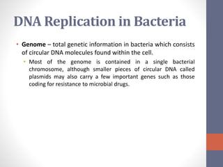 DNA Replication in Bacteria 
• Genome – total genetic information in bacteria which consists 
of circular DNA molecules found within the cell. 
• Most of the genome is contained in a single bacterial 
chromosome, although smaller pieces of circular DNA called 
plasmids may also carry a few important genes such as those 
coding for resistance to microbial drugs. 
 