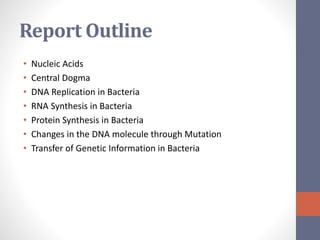 Report Outline 
• Nucleic Acids 
• Central Dogma 
• DNA Replication in Bacteria 
• RNA Synthesis in Bacteria 
• Protein Synthesis in Bacteria 
• Changes in the DNA molecule through Mutation 
• Transfer of Genetic Information in Bacteria 
 