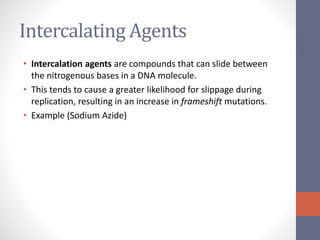 Intercalating Agents 
• Intercalation agents are compounds that can slide between 
the nitrogenous bases in a DNA molecule. 
• This tends to cause a greater likelihood for slippage during 
replication, resulting in an increase in frameshift mutations. 
• Example (Sodium Azide) 
 