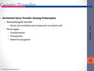 MDufilho 7/6/11 
53 
Genetic Transfer 
• Horizontal Gene Transfer Among Prokaryotes 
• Horizontal gene transfer 
• Donor cell contributes part of genome to recipient cell 
• Three types 
• Transformation 
• Transduction 
• Bacterial conjugation 
© 2012 Pearson Education Inc. 
 