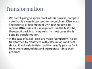 Transformation 
• We aren’t going to speak much of this process, except to 
note that it is very important for recombinant DNA work. 
The essence of recombinant DNA technology is to 
remove DNA from cells, manipulate it in the test tube, 
then put it back into living cells. In most cases this is 
done by transformation. 
• In the case of E. coli, cells are made “competent” to be 
transformed by treatment with calcium ions and heat 
shock. E. coli cells in this condition readily pick up DNA 
from their surroundings and incorporate it into their 
genomes. 
 