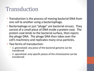 Transduction 
• Transduction is the process of moving bacterial DNA from 
one cell to another using a bacteriophage. 
• Bacteriophage or just “phage” are bacterial viruses. They 
consist of a small piece of DNA inside a protein coat. The 
protein coat binds to the bacterial surface, then injects 
the phage DNA. The phage DNA then takes over the 
cell’s machinery and replicates many virus particles. 
• Two forms of transduction: 
• 1. generalized: any piece of the bacterial genome can be 
transferred 
• 2. specialized: only specific pieces of the chromosome can be 
transferred. 
 