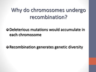Why do chromosomes undergo 
recombination? 
Deleterious mutations would accumulate in 
each chromosome 
Recombination generates genetic diversity 
 