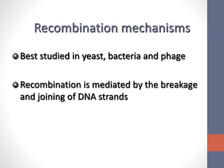 Recombination mechanisms 
Best studied in yeast, bacteria and phage 
Recombination is mediated by the breakage 
and joining of DNA strands 
 