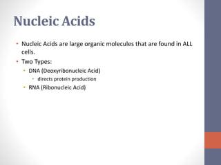 Nucleic Acids 
• Nucleic Acids are large organic molecules that are found in ALL 
cells. 
• Two Types: 
• DNA (Deoxyribonucleic Acid) 
• directs protein production 
• RNA (Ribonucleic Acid) 
 