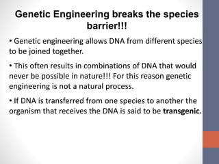 Genetic Engineering breaks the species 
barrier!!! 
• Genetic engineering allows DNA from different species 
to be joined together. 
• This often results in combinations of DNA that would 
never be possible in nature!!! For this reason genetic 
engineering is not a natural process. 
• If DNA is transferred from one species to another the 
organism that receives the DNA is said to be transgenic. 
 