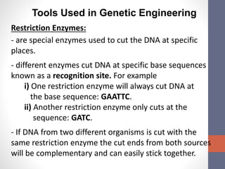 Tools Used in Genetic Engineering 
Restriction Enzymes: 
- are special enzymes used to cut the DNA at specific 
places. 
- different enzymes cut DNA at specific base sequences 
known as a recognition site. For example 
i) One restriction enzyme will always cut DNA at 
the base sequence: GAATTC. 
ii) Another restriction enzyme only cuts at the 
sequence: GATC. 
- If DNA from two different organisms is cut with the 
same restriction enzyme the cut ends from both sources 
will be complementary and can easily stick together. 
 