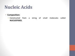 Nucleic Acids 
• Composition: 
• Constructed from a string of small molecules called 
NUCLEOTIDES. 
 